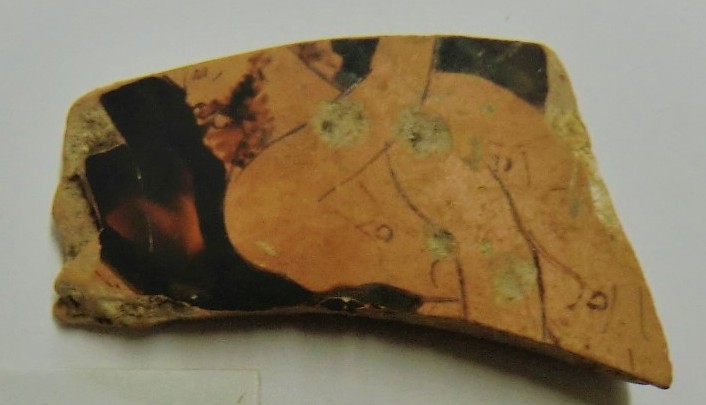 Foto: Museu d'Arqueologia de Catalunya-Empúries