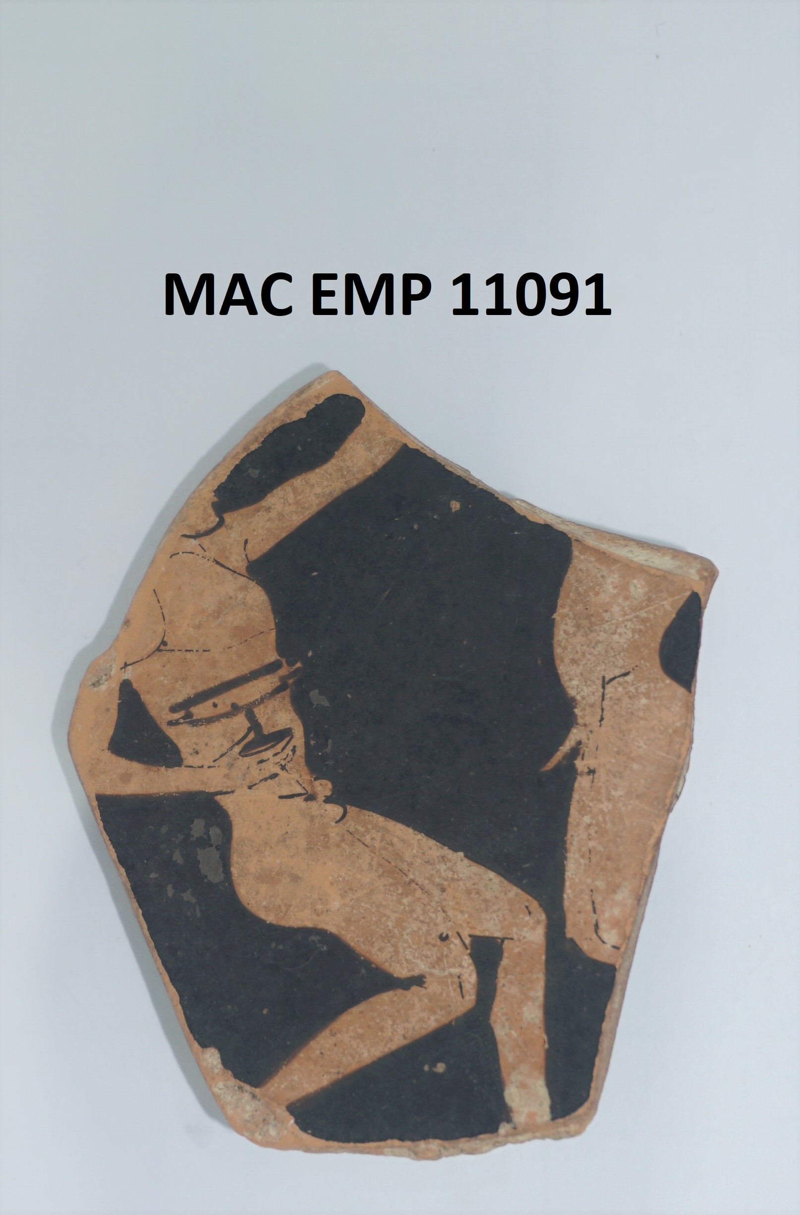 Foto: Museu d'Arqueologia de Catalunya-Empúries