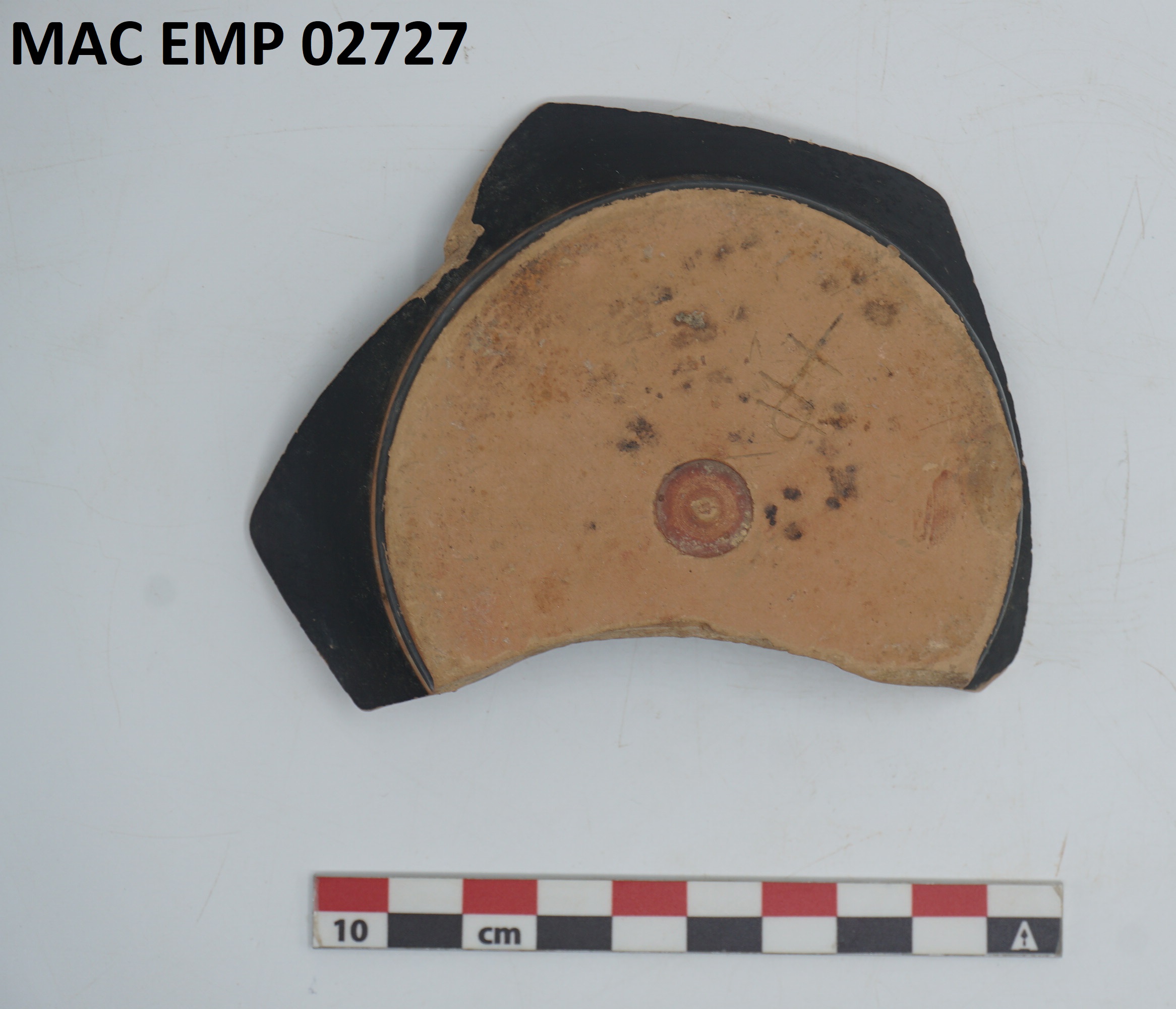 Foto: Museu d'Arqueologia de Catalunya-Empúries