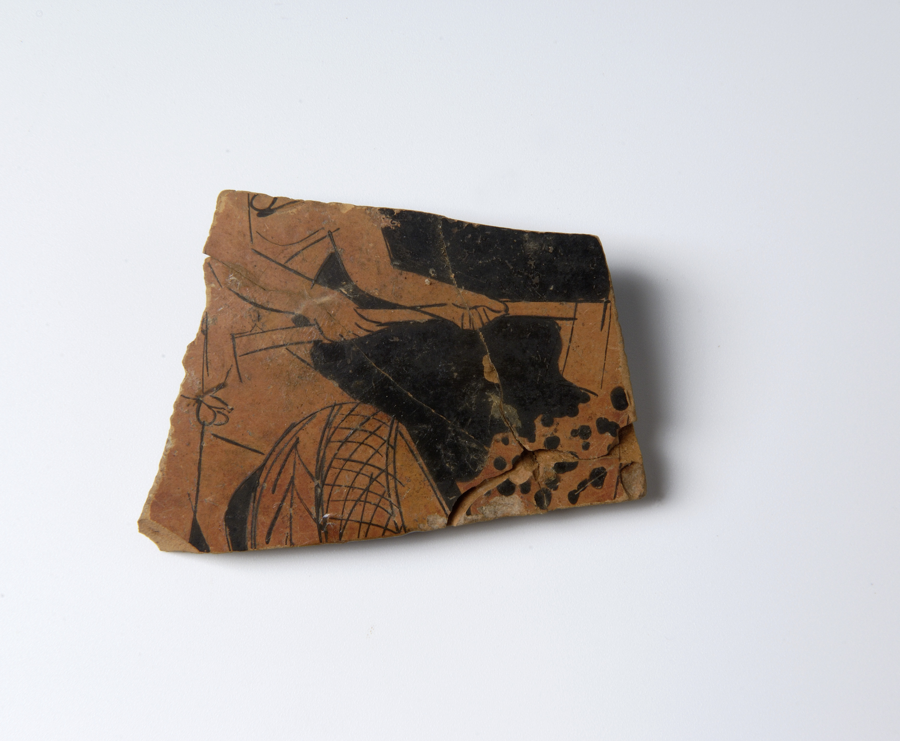 Foto: Museu d'Arqueologia de Catalunya-Empúries