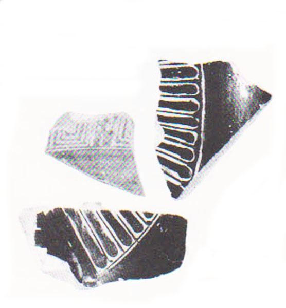 Aranegui et alii 1993