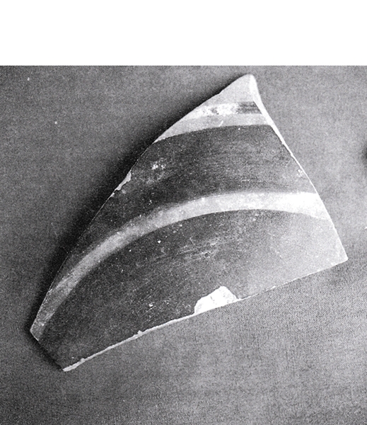 García Martín 2003